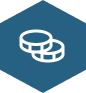 Salary Icon