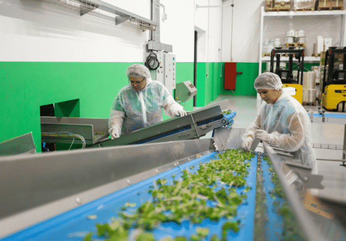 Production line